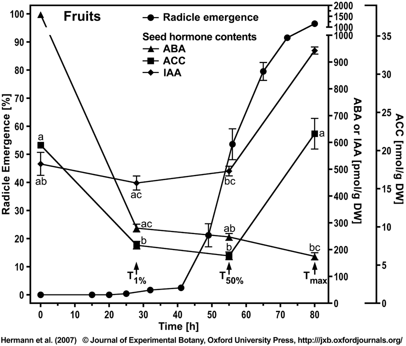 Sugar beet hormone contents