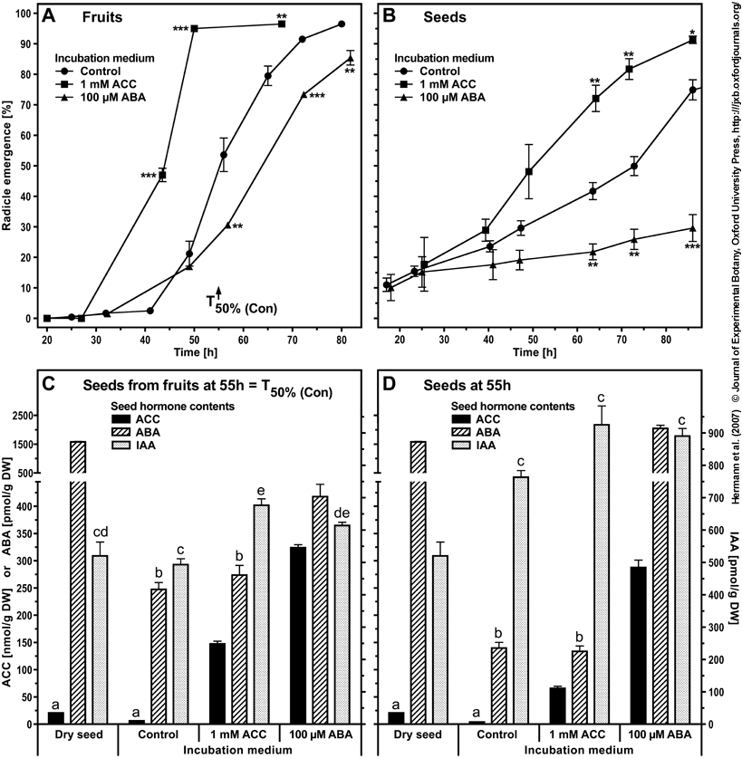 Sugar beet hormones