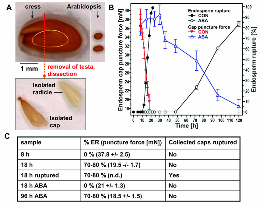 Fig. 1 Mueller Proteomics 2010