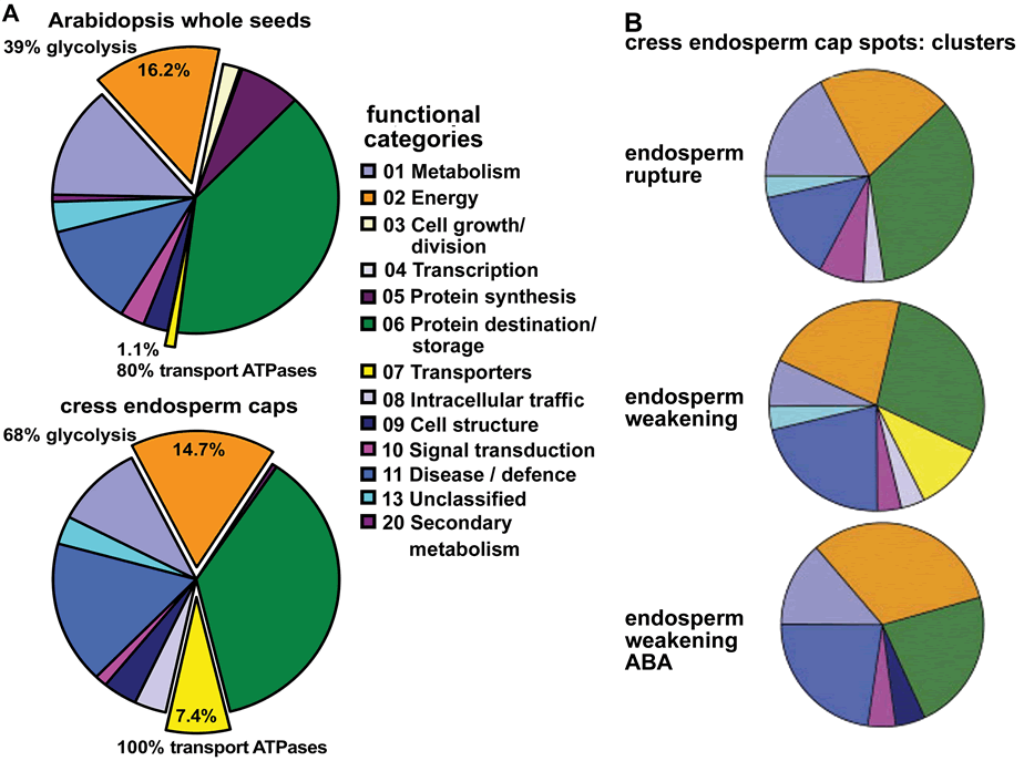 Fig. 4 Muekller 2010 Proteomics