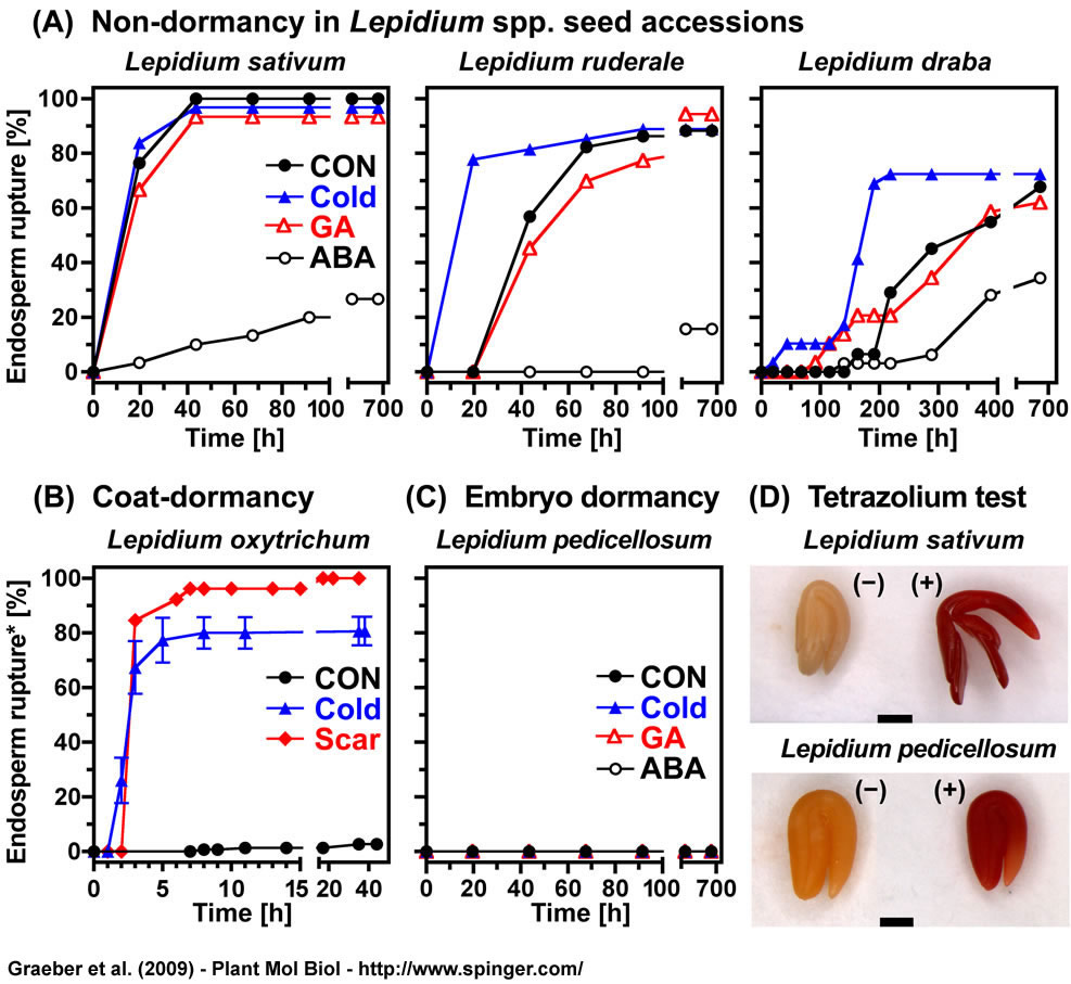 Lepidium dormancy Graeber et al. 2009