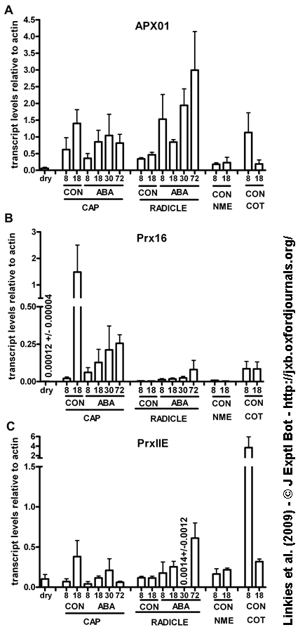 Linkies Fig. 3