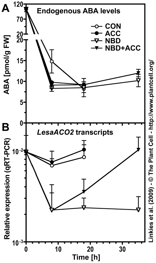 Fig. 8 Linkies 2009