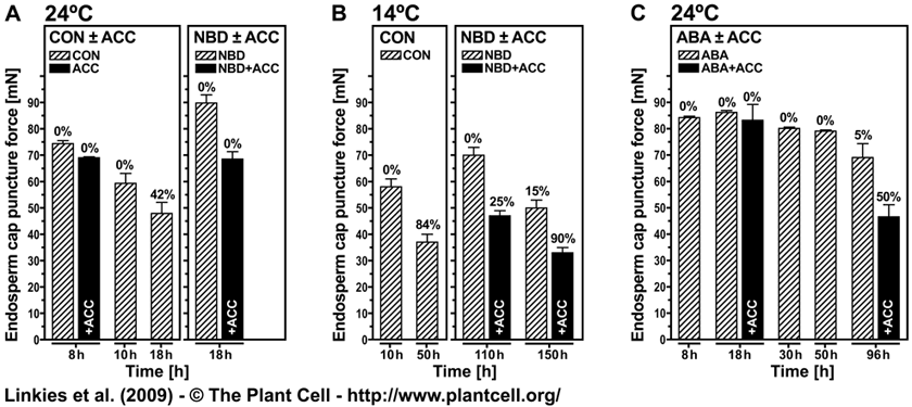 Fig. 9 Linkies 2009