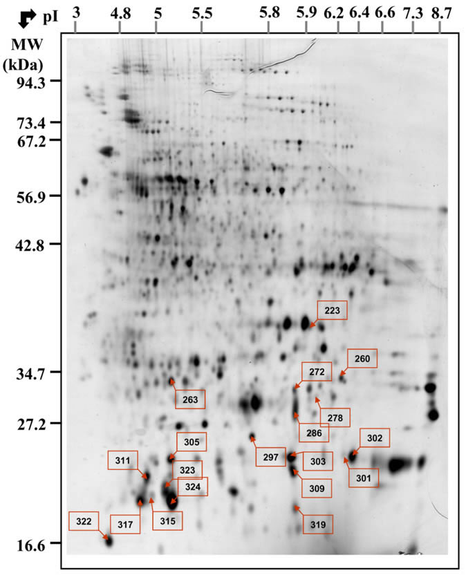 Fig. S2.2 Mueller 2010 Proteomics