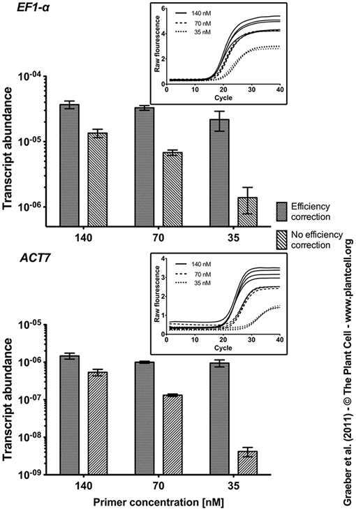 PCR efficiency