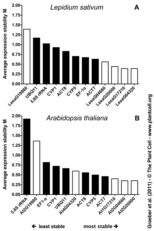 REference gene ranking