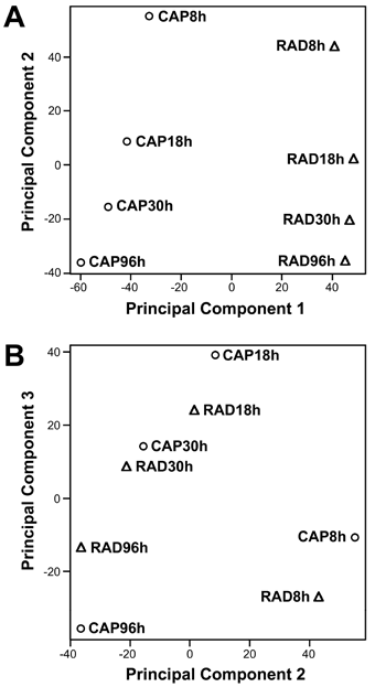 PCA