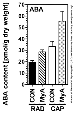 ABA contents seed tissues