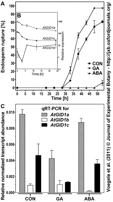 GID1 transcript abundance Arabidopsis seeds