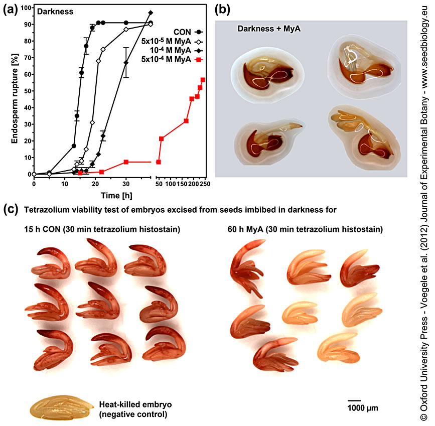 viability assay