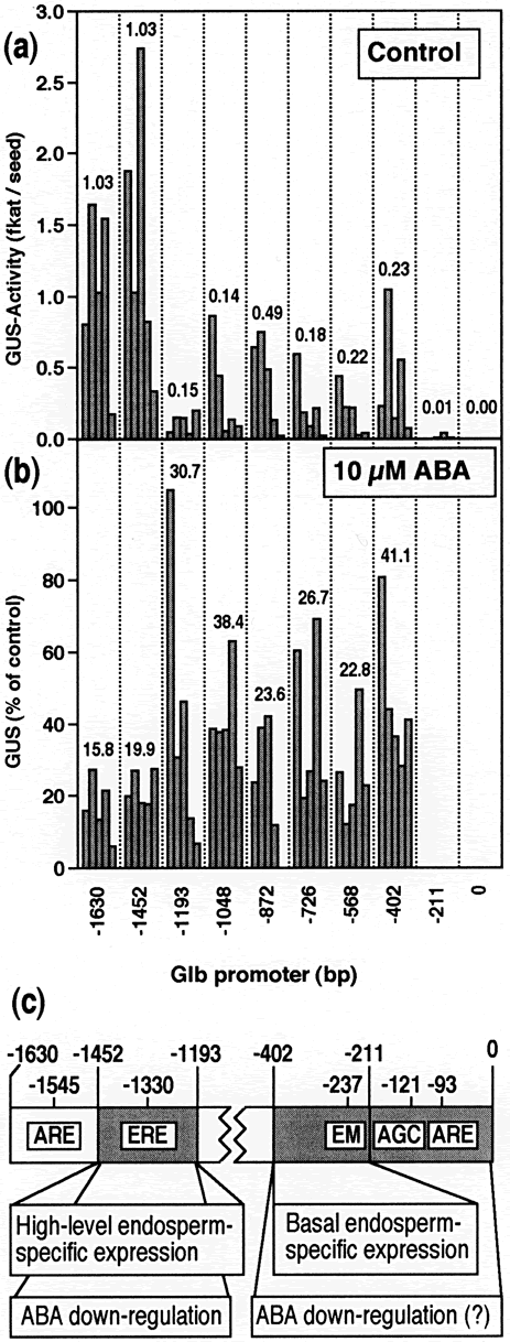 Glucanase promoter