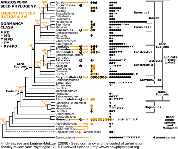 Phylogeny weakening