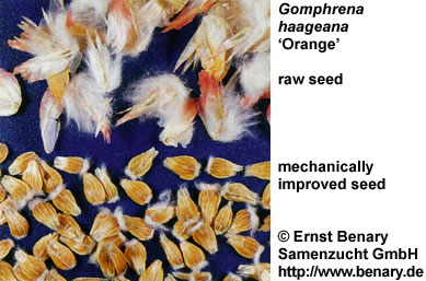 seed enhancement