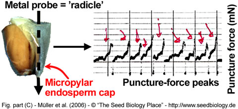 Puncture force method