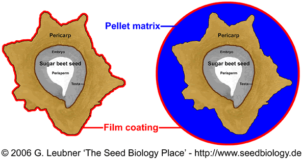 sugar beet pellet